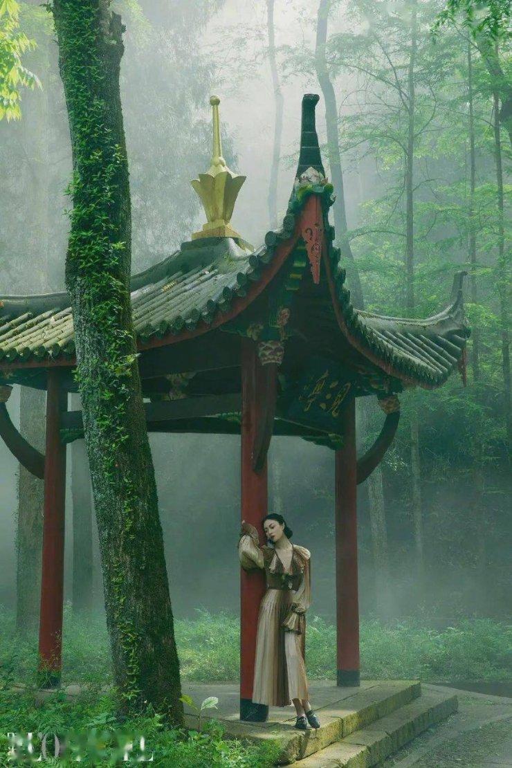 专业知识星球平台-